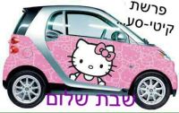 המכה לשביתה!! סוף להתעמרות מורי הנהיגה והבוחנים באזרחי ישראל!