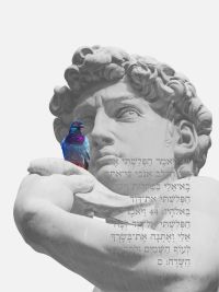 תוקם ועדת חקירה לעוולות ההוצל"פ!