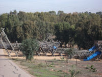 צריכים תאורה בראש ציפור!