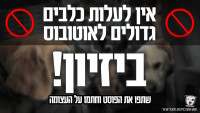 ביזיון! - דורשים לאפשר לעלות כלבים גדולים לאוטובוסים