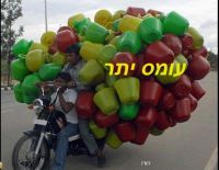 ריכוז ימי הלימוד בתואר לעבודה סוציאלית בעברית