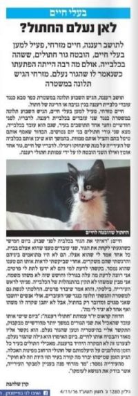 פיטורי יואב מילר ואלכסנד נידוסקוב על גנבת חתול והתעללות בבעלי חיים