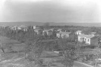 שימור צביונה הכפרי של פרדס חנה כרכור 
