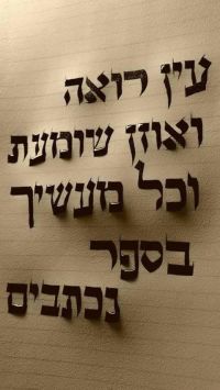 מניעת התעללות בקשישים
