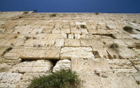 שמירת קדושת הכותל
