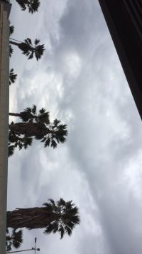 לכל תלמיד מגיעה הזכות לצאת לטיול השנתי ולהנות בו