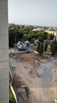 התנגדות למיקום גינת כלבים ביהוד