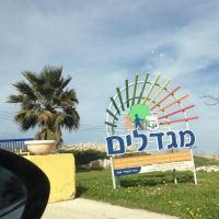יוסי דגן-ראש מועצת שומרון,תדיח את שמואל מדמון מהוועד המנהל של יישוב מגדלים!