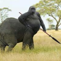 קופילים (קופיליזם)