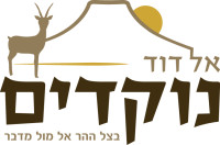 פרוייקט מגן שאול