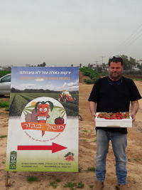 תמיכה במשוך בגזר - משפחת בק