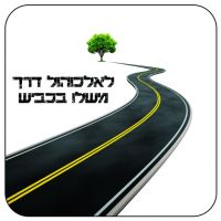 המאבק בנהיגה תחת השפעת אלכוהול