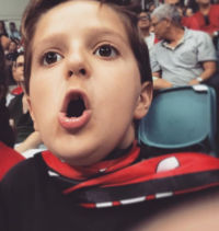 ביטול הפיינל פור