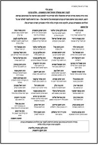 ועדת חקירה לאירועי דומא