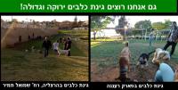 שיפור גינת הכלבים בשכונה 80 הירוקה בכפר סבא