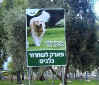 גינת כלבים ברחוב אהוד - חיפה