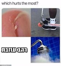 רהב תחזרי