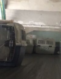 מפסיקים את העלאת הכלבים על המסוע בנתב״ג