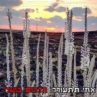 דחיית שבת ארגון של בני עקביא