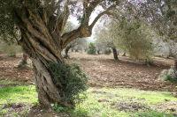 איחוד והסכם עודפים בסיעות הימין 