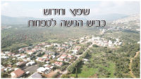 שיפוץ וחידוש כביש הגישה לטפחות