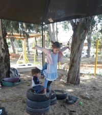 השארת חצרות חוליות טבעיות בגני הילדים בפתח תקווה