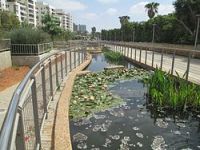 הגדלת מספר הפקחים בגני תקוה 