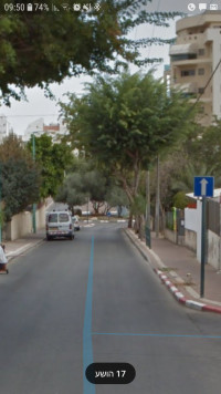 פתיחת רחוב הושע