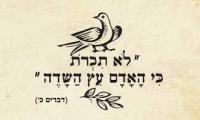 עצומה נגד אלימות במוסדות החינוך