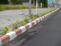 חנייה מסוכנת באדום לבן עקב מצוקת חנייה בערים המרכזיות