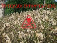 סכנה בריאותית והרס סביבתי,בואו נעצור את זה עכשיו!