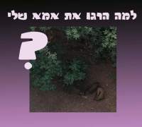 דורשים פתרון אמיתי למצוקת התושבים והחזירים! 