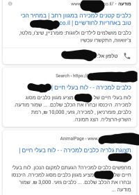 די למכירת בעלי חיים!