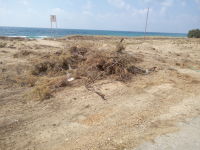 עצומה להצלת הטבע והחי ברצועת החוף הצפונית בנהריה