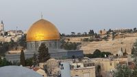 אני רוצה להצביע עוצמה יהודית, אם יתאספו מספיק חתימות שיעברו את אחוז החסימה