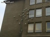 מצלמות אבטחה של הבנין