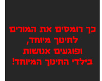 כך רומסים את החינוך המיוחד