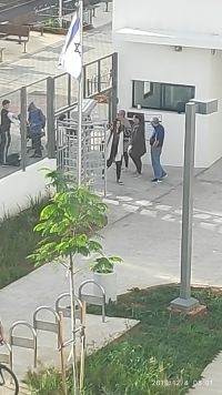 מבטלים את הסלקציה המשפילה