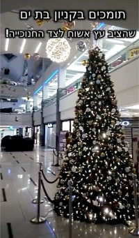 תומכים בקניון בת ים שהציב עץ אשוח לצד החנוכייה!