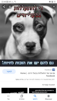 להחרים את סין !!!להפסיק להתעלל לאכול כלבים בסין חיות חסרות ישע אחרות!!!!!