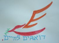 מעבירים את העצומה עריכה מחדש 