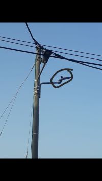 ג׳וליס נגד 5G