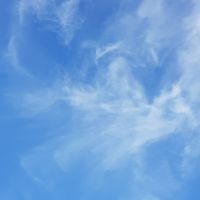 קרבי לכל חיילת