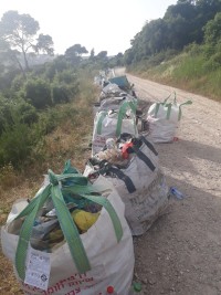 بدنا غرامة لكل مخالف (קנס למשליכי פסולות בחורשות סובב עספיא)