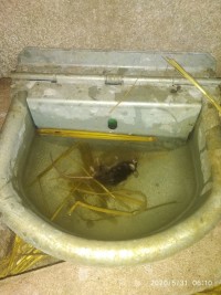 עצומה להוצאת חיות הבר מהגן הבוטני זאולוגי נהריה