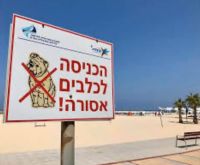 עצירת הדרת כלבים ובעליהם מהים והמרחב הציבורי בהרצליה