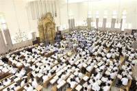 להעיף את השונאים מפונוביץ