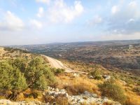 פתיחת בורות המים