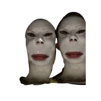 מחזירים את ויקה