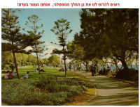 אנחנו דורשים שגן המלך יישאר ירוק לעד